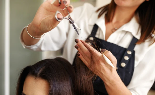 $59 & Up for Haircut Packages with Style, Root Touch-Up, or Highlights